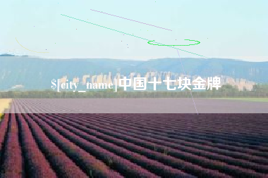 南充中国十七块金牌