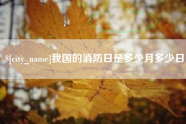 南充我国的消防日是多少月多少日
