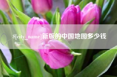南充新版的中国地图多少钱