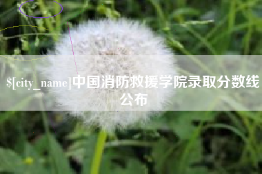 南充中国消防救援学院录取分数线公布