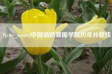 南充中国消防救援学院历年分数线