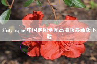 南充中国地图全图高清版最新版下载