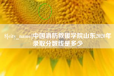 南充中国消防救援学院山东2020年录取分数线是多少