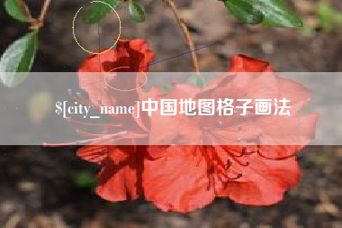 南充中国地图格子画法