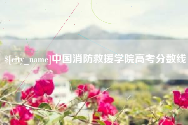 南充中国消防救援学院高考分数线