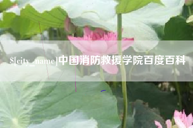 南充中国消防救援学院百度百科