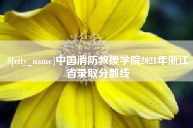 南充中国消防救援学院2021年浙江省录取分数线