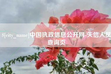 南充中国执政信息公开网-失信人员查询页