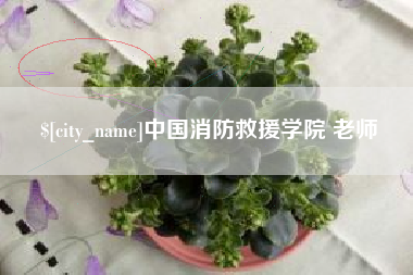 南充中国消防救援学院 老师