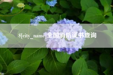 南充全国消防证书查询