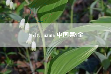 南充中国第9金