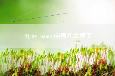 南充中国几金牌了