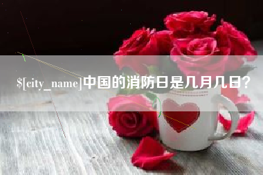 南充中国的消防日是几月几日？