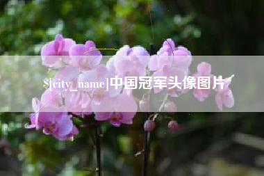 南充中国冠军头像图片