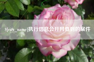 南充执行信息公开网查到的案件