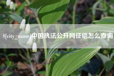 南充中国执法公开网征信怎么查询