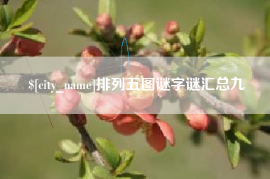 南充排列五图谜字谜汇总九