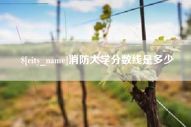 南充消防大学分数线是多少