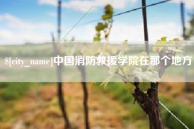 南充中国消防救援学院在那个地方