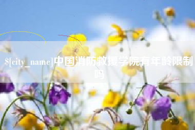 南充中国消防救援学院有年龄限制吗