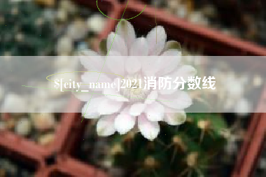 南充2021消防分数线