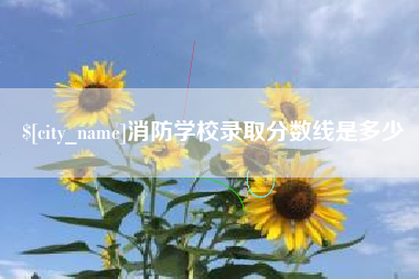 南充消防学校录取分数线是多少