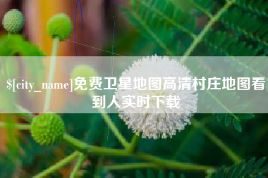 南充免费卫星地图高清村庄地图看到人实时下载