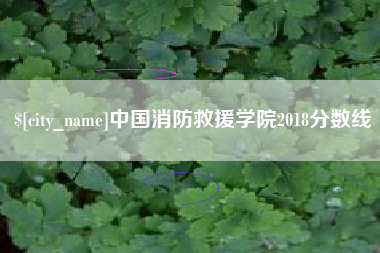 南充中国消防救援学院2018分数线