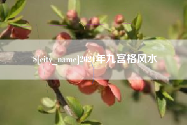 南充2021年九宫格风水