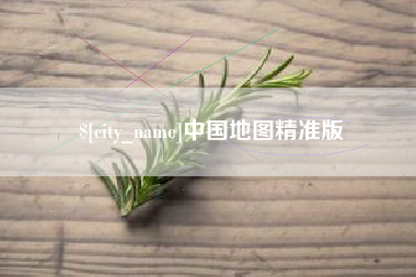 南充中国地图精准版