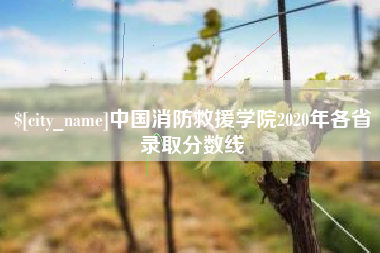 南充中国消防救援学院2020年各省录取分数线