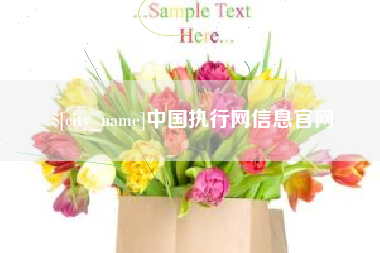 南充中国执行网信息官网