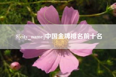 南充中国金牌排名前十名