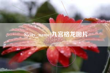 南充九宫格龙图片
