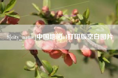 南充中国地图a4打印版空白图片