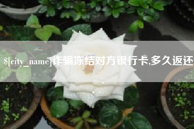 南充诈骗冻结对方银行卡,多久返还