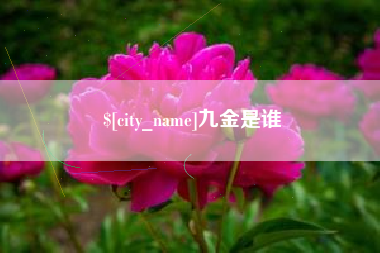 南充九金是谁