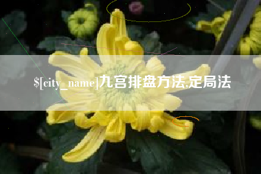 南充九宫排盘方法,定局法