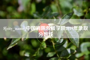 南充中国消防救援学院2019年录取分数线