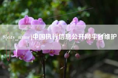 南充中国执行信息公开网平台维护