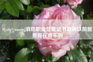 南充消防职业技能证书查询以前能查现在查不到