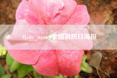 南充全国消防日海报