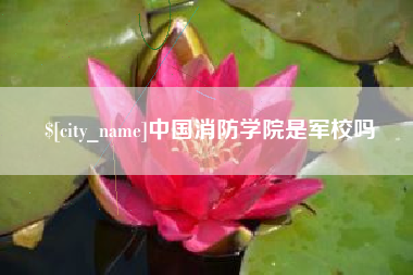南充中国消防学院是军校吗