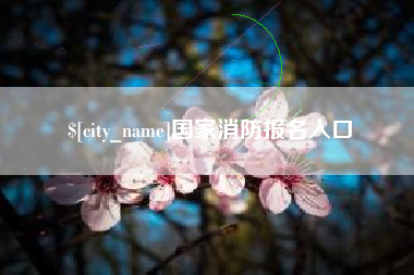 南充国家消防报名入口