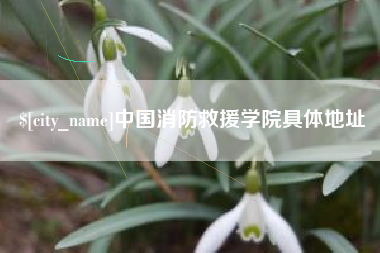 南充中国消防救援学院具体地址