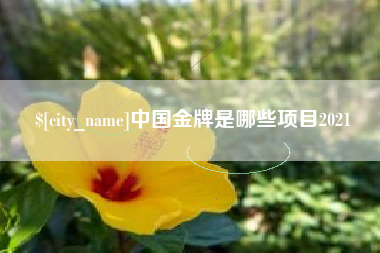 南充中国金牌是哪些项目2021