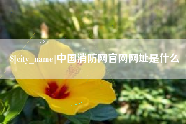 南充中国消防网官网网址是什么