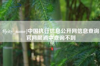 南充中国执行信息公开网信息查询官网限消中查询不到