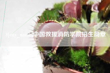 南充中国救援消防学院招生简章
