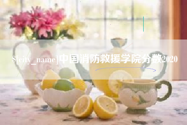 南充中国消防救援学院分数2020